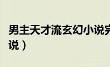 男主天才流玄幻小说完结（男主天才流玄幻小说）