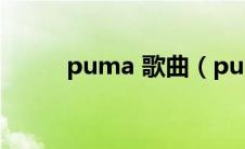 puma 歌曲（puma歌词完整版）