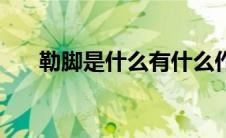 勒脚是什么有什么作用（勒脚是什么）