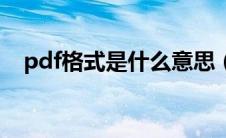 pdf格式是什么意思（pdf版是什么意思）