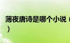薄夜唐诗是哪个小说（薄夜唐诗的小说叫什么）