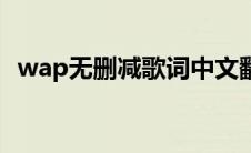 wap无删减歌词中文翻译（wap歌词原版）