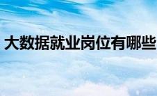 大数据就业岗位有哪些（大数据专业学什么）