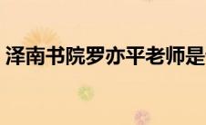 泽南书院罗亦平老师是谁（罗老师是什么梗）
