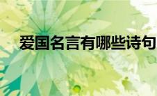 爱国名言有哪些诗句（爱国名言有哪些）