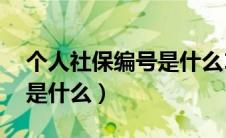 个人社保编号是什么10位数（个人社保编号是什么）