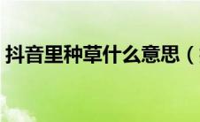 抖音里种草什么意思（抖音种草是什么意思）