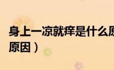 身上一凉就痒是什么原因（冬天身上痒是什么原因）