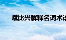 赋比兴解释名词术语（赋比兴的解释）
