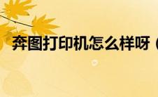 奔图打印机怎么样呀（奔图打印机怎么样）