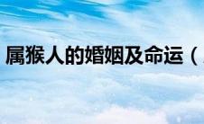 属猴人的婚姻及命运（属羊人的婚姻与命运）