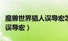魔兽世界猎人误导宏怎么设置（魔兽世界猎人误导宏）
