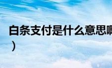 白条支付是什么意思啊（白条支付是什么意思）
