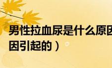 男性拉血尿是什么原因引起的（血尿是什么原因引起的）