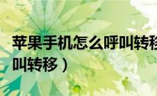 苹果手机怎么呼叫转移不了（苹果手机怎么呼叫转移）