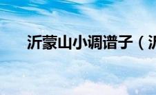 沂蒙山小调谱子（沂蒙山小调诞生于）