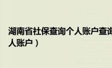 湖南省社保查询个人账户查询官网电话（湖南省社保查询个人账户）