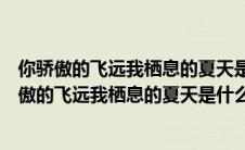 你骄傲的飞远我栖息的夏天是什么歌什么歌曲的歌词（你骄傲的飞远我栖息的夏天是什么歌）