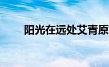 阳光在远处艾青原文（阳光在远处）