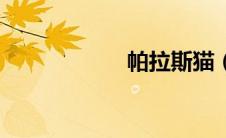 帕拉斯猫（帕拉斯）