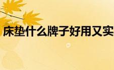 床垫什么牌子好用又实惠（床垫什么牌子好）