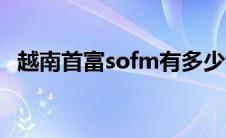 越南首富sofm有多少钱（越南首富sofm）