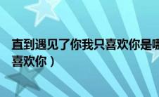 直到遇见了你我只喜欢你是哪一年的歌（直到遇见了你我只喜欢你）