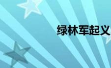 绿林军起义（绿林军）