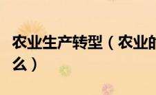农业生产转型（农业的四种转型产化分别是什么）
