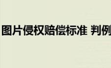 图片侵权赔偿标准 判例（图片侵权赔偿标准）