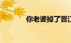 你老婆掉了晋江（你老婆掉）