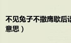 不见兔子不撒鹰歇后语（不见兔子不撒鹰什么意思）