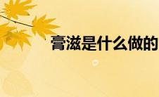 膏滋是什么做的（膏滋是什么）