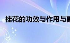 桂花的功效与作用与副作用（桂花的功效）