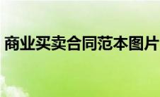 商业买卖合同范本图片（商业买卖合同范本）