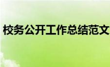 校务公开工作总结范文（校务公开工作总结）