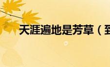天涯遍地是芳草（到天涯遍地是花香）