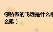 你骄傲的飞远是什么歌名（你骄傲的飞远是什么歌）
