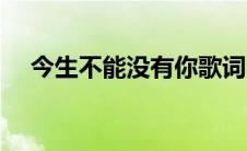 今生不能没有你歌词（今生不能没有你）
