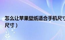 怎么让苹果壁纸适合手机尺寸（苹果手机壁纸怎么设置合适尺寸）