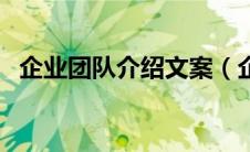 企业团队介绍文案（企业团队介绍怎么写）
