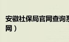 安徽社保局官网查询系统（安徽省社保查询官网）