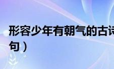 形容少年有朝气的古诗（形容少年有朝气的诗句）