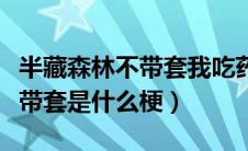 半藏森林不带套我吃药是什么梗（半藏森林不带套是什么梗）