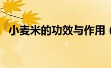 小麦米的功效与作用（小麦的功效与作用）