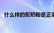 什么样的驼奶粉是正宗的（驼奶粉是什么）
