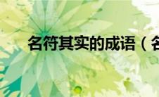 名符其实的成语（名符其实的同义词）