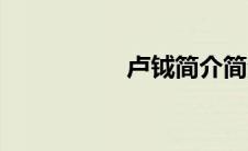 卢钺简介简洁（卢钺）
