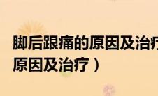 脚后跟痛的原因及治疗吃什么约（脚后跟痛的原因及治疗）