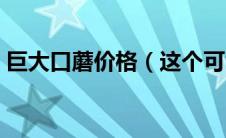 巨大口蘑价格（这个可食用巨大口蘑是什么）